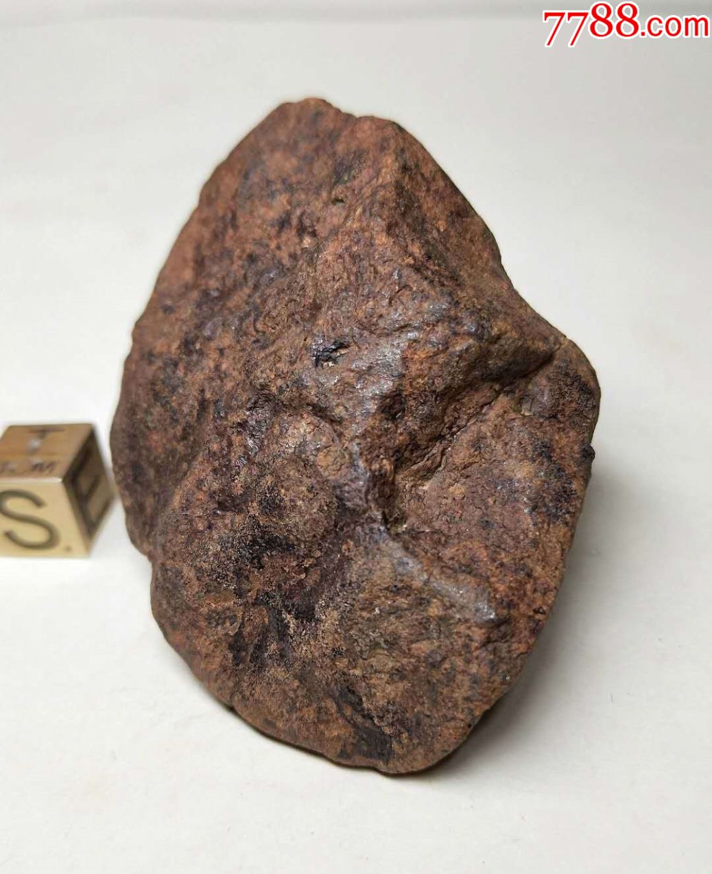1832国际命名nwa西北非石陨石102.8克