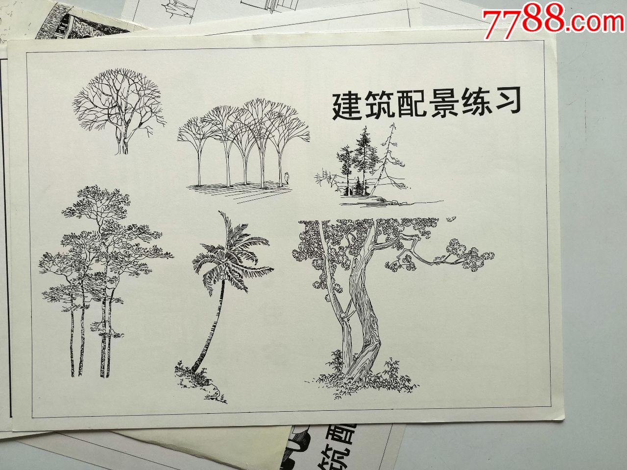 手绘钢笔画《建筑配景练习》10张合售1