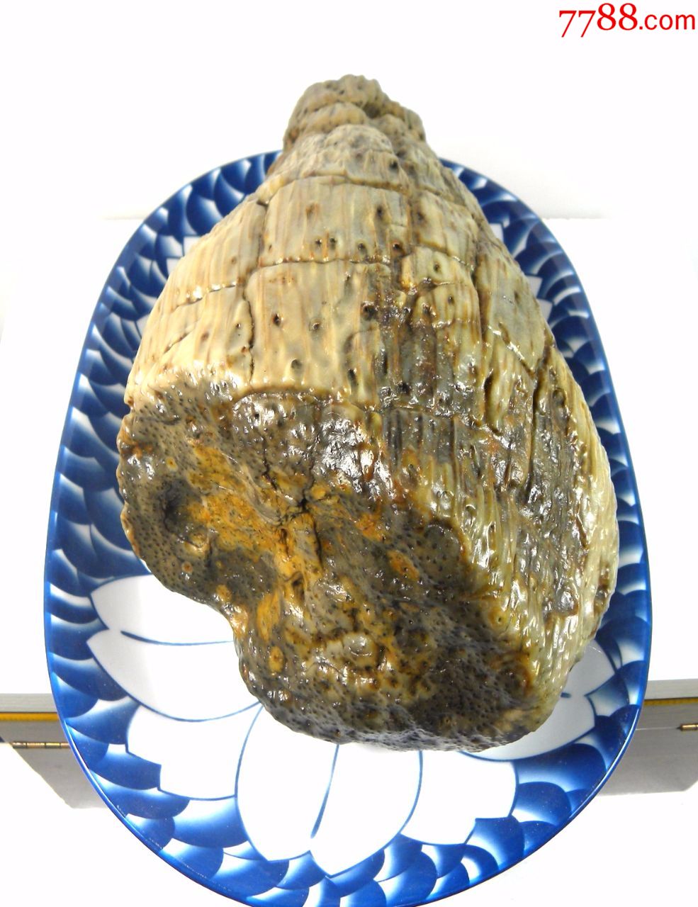 疯狂石头㊣■精品奇石6--金华火腿■-稀少