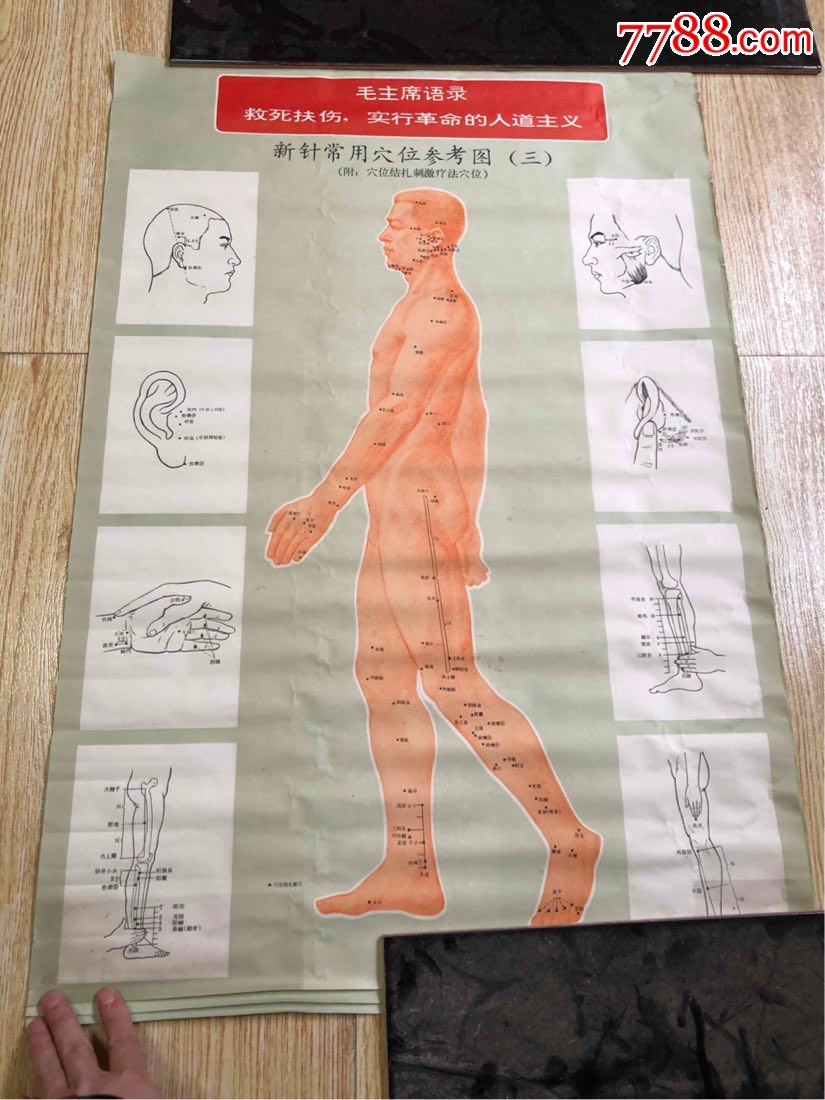 文革时针灸挂图三张一套_价格200.