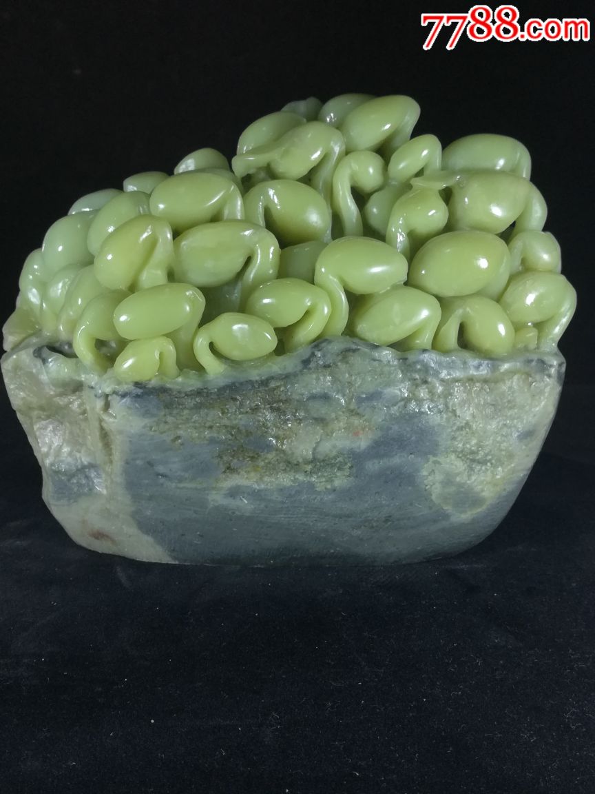 豆芽