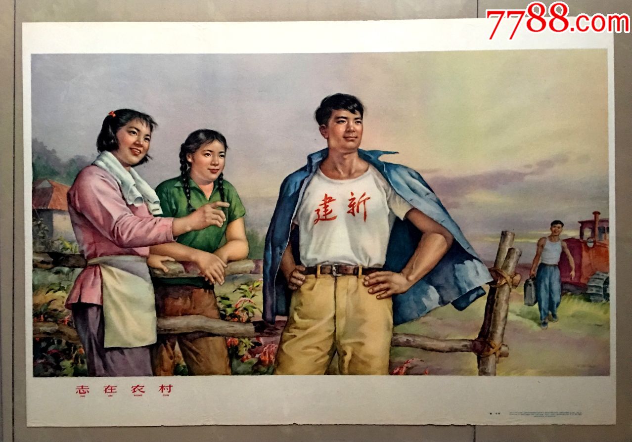 当前位置:7788字画网>零售 年画/宣传画>志在农村,64年,庞卡