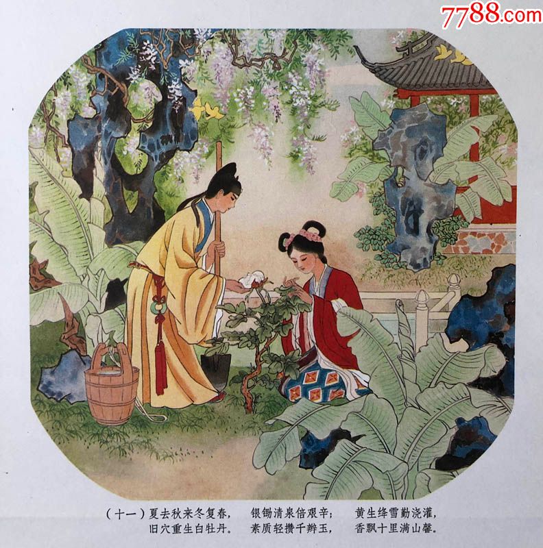 牡丹仙子(经典聊斋故事)