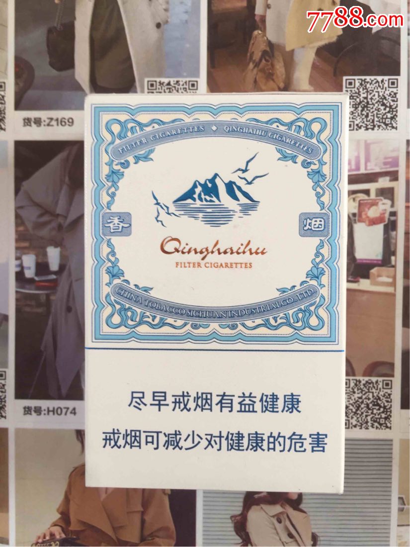 青海娇子青海湖(16版尽早)