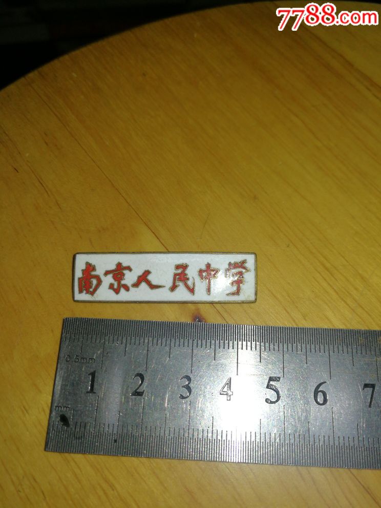 南京人民中学校徽