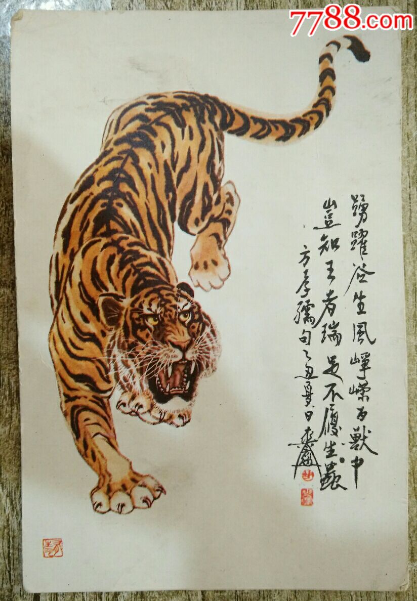 猛虎