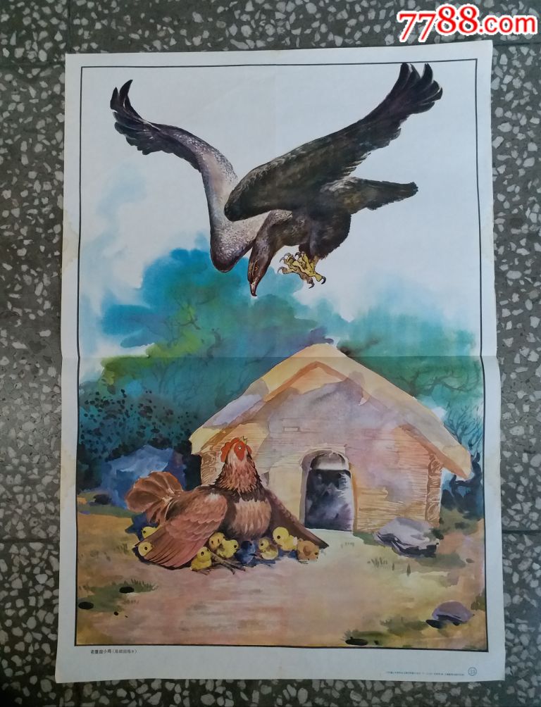 老鹰捉小鸡