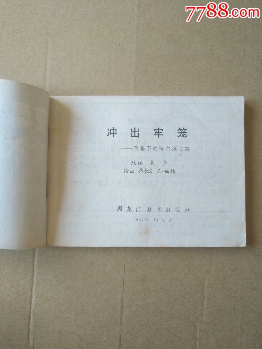 冲出牢笼～夜幕下的哈尔滨之四