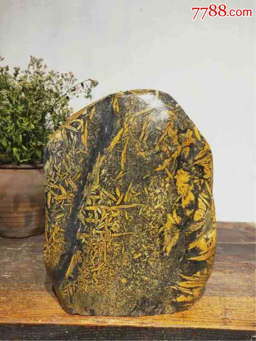 精品老竹叶石,黄金叶,赏石一封,纹理精美,巧然天工.纯