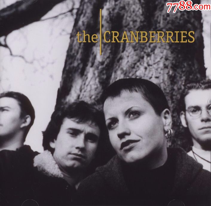 the-cranberries-卡百利小红莓乐队-9cd