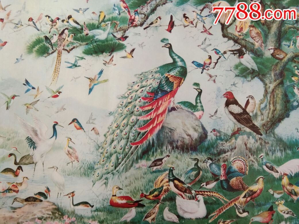 百鸟图