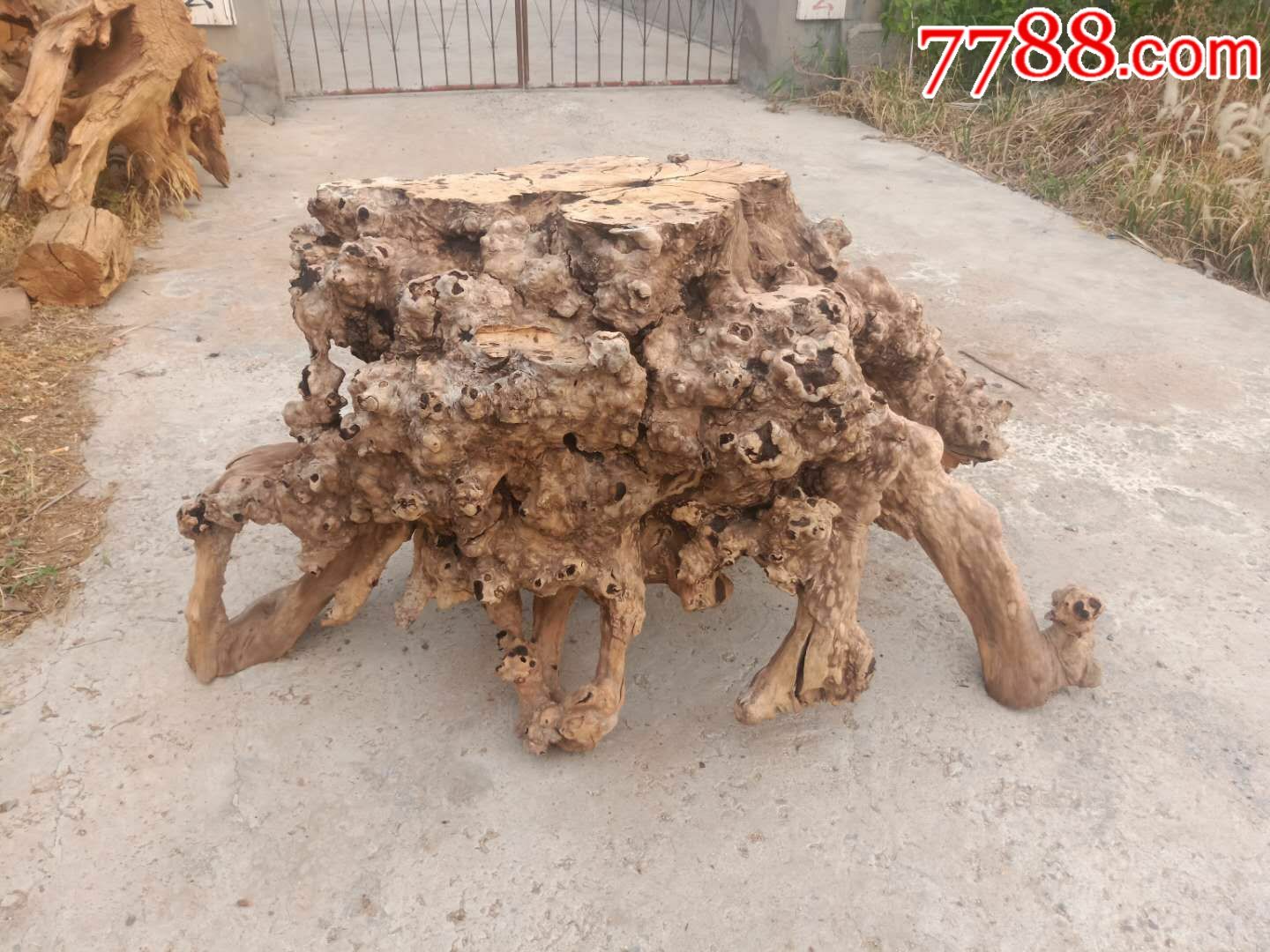 精美果木根雕茶台一个,造型漂亮,满身树瘤,极为罕见,是居家茶室,农家
