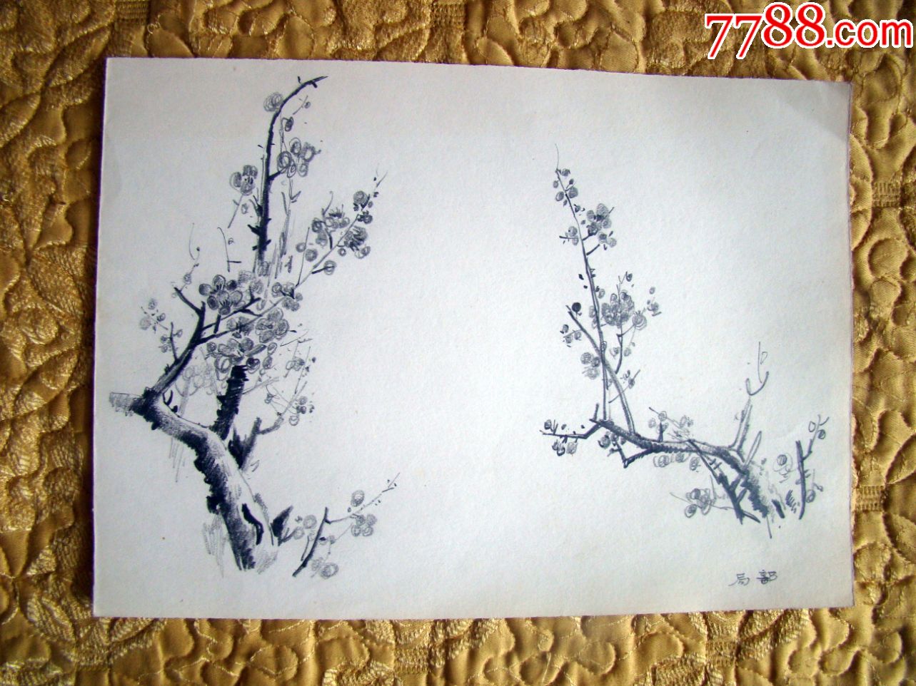 梅花_素描/速写画册_记忆收藏【7788收藏__收藏热线】
