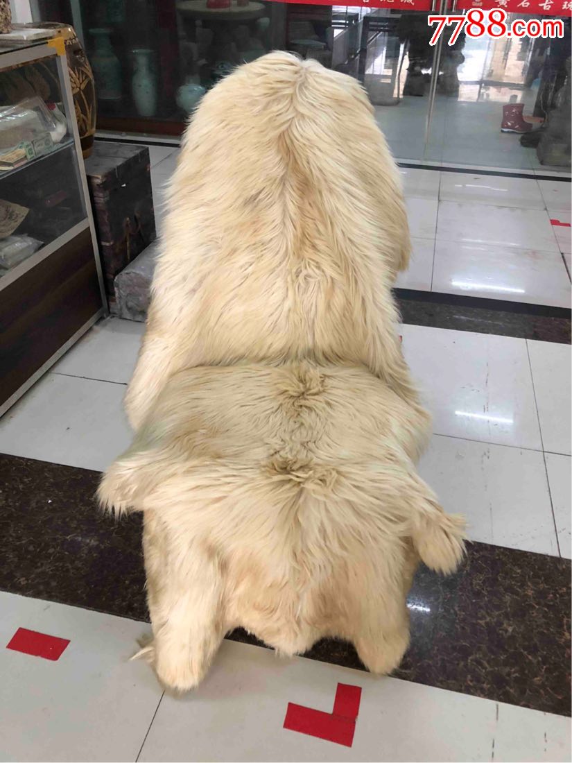 挺大的狗皮褥子,老的.皮毛一体