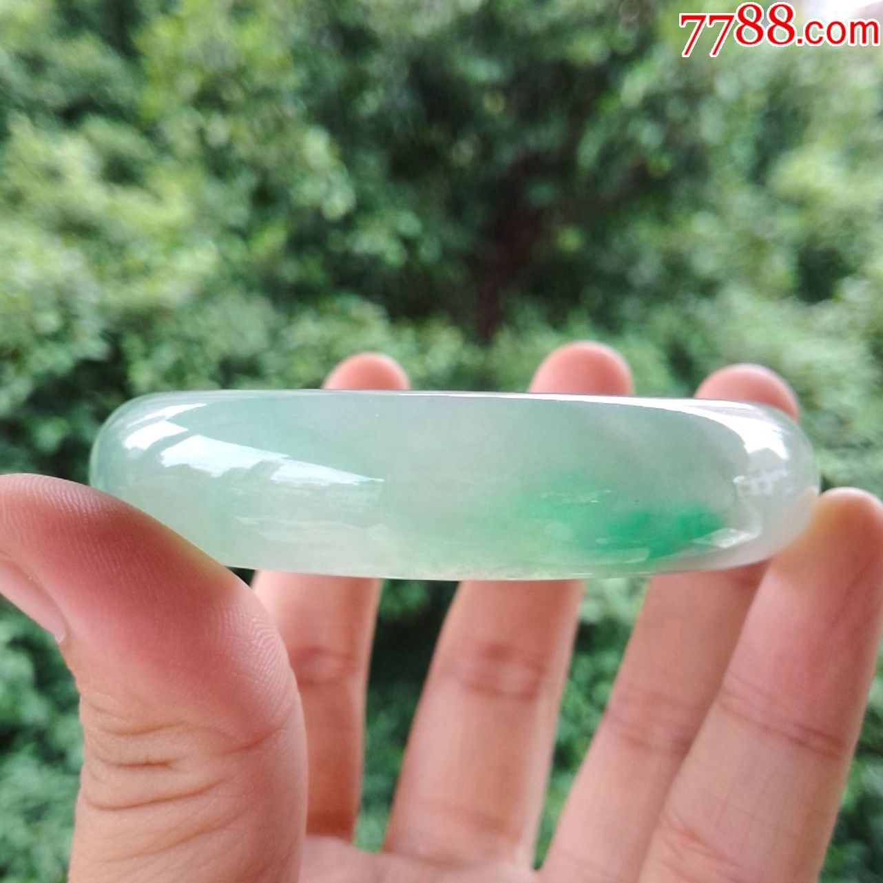 天然翡翠a货老坑玉手镯冰种阳绿飘花椭圆形通透水润贵妃玉镯子女款