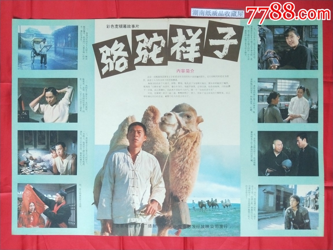 《骆驼祥子》_电影海报_湖南纸质品收藏屋【7788收藏