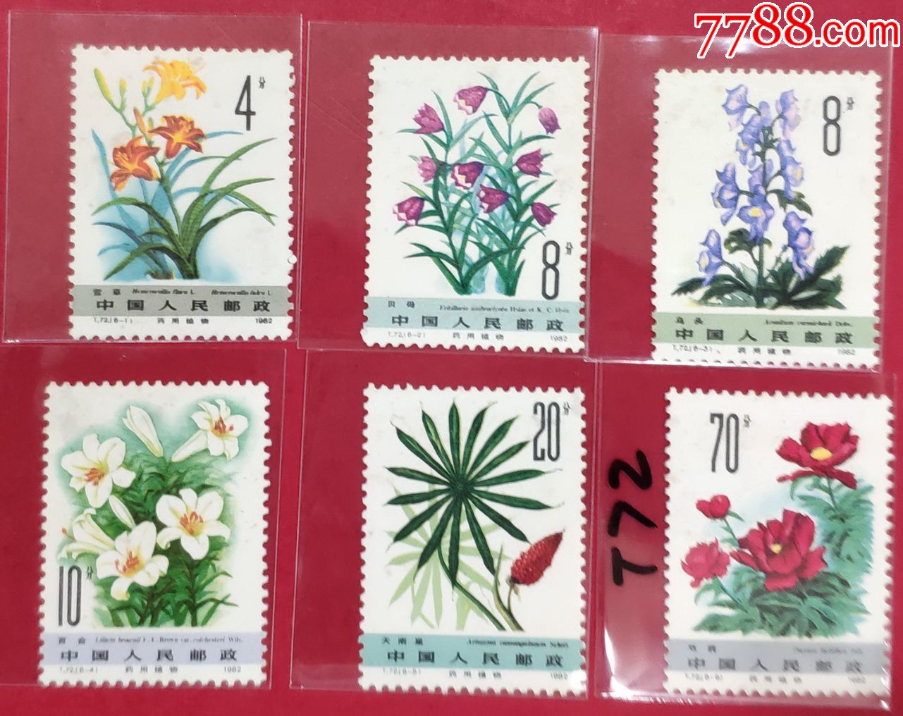 图片点击可在新窗口打开查看