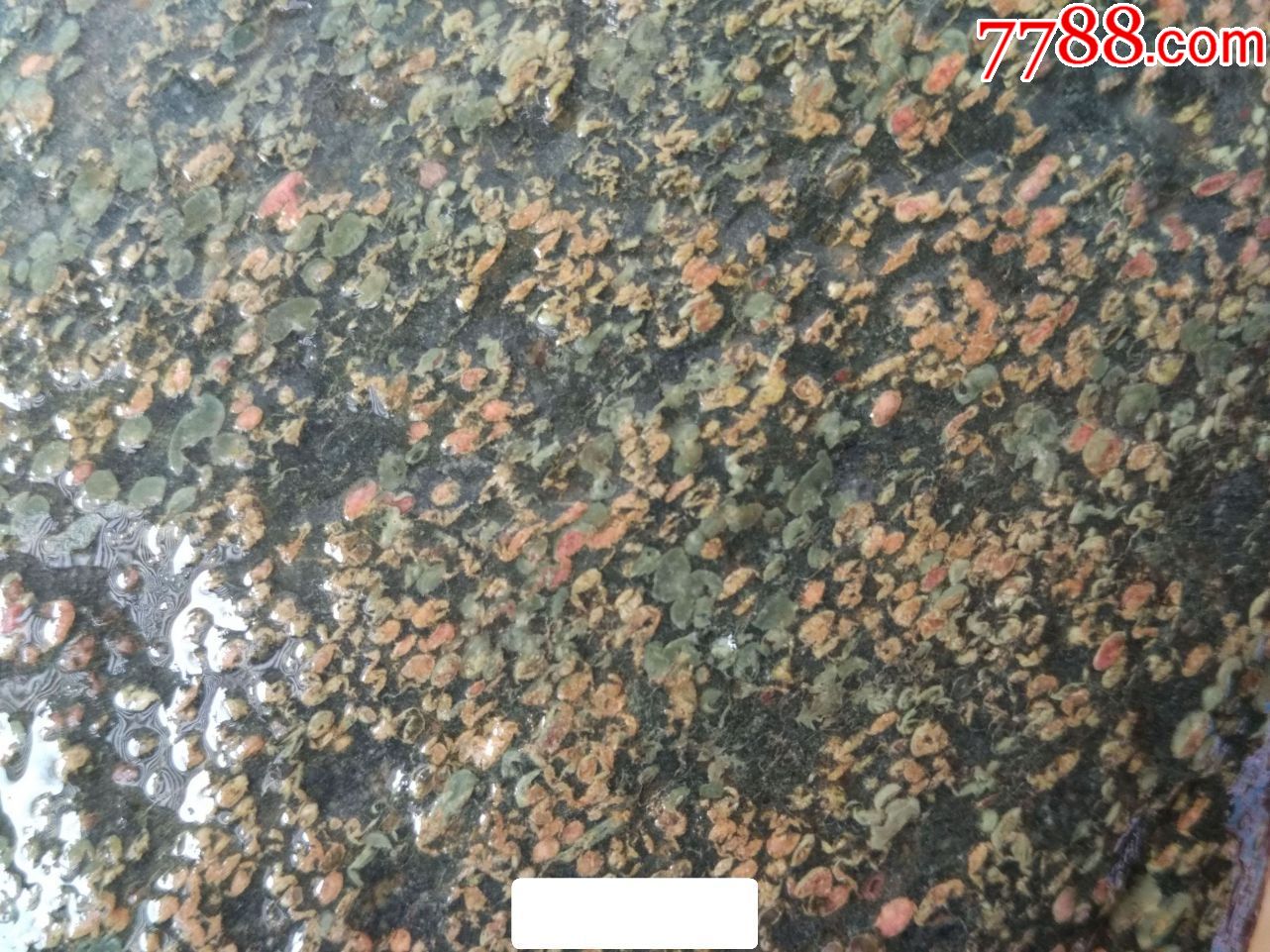 洛阳精品梅花石原石"顶戴花翎(石型完美,画面疏密有度)