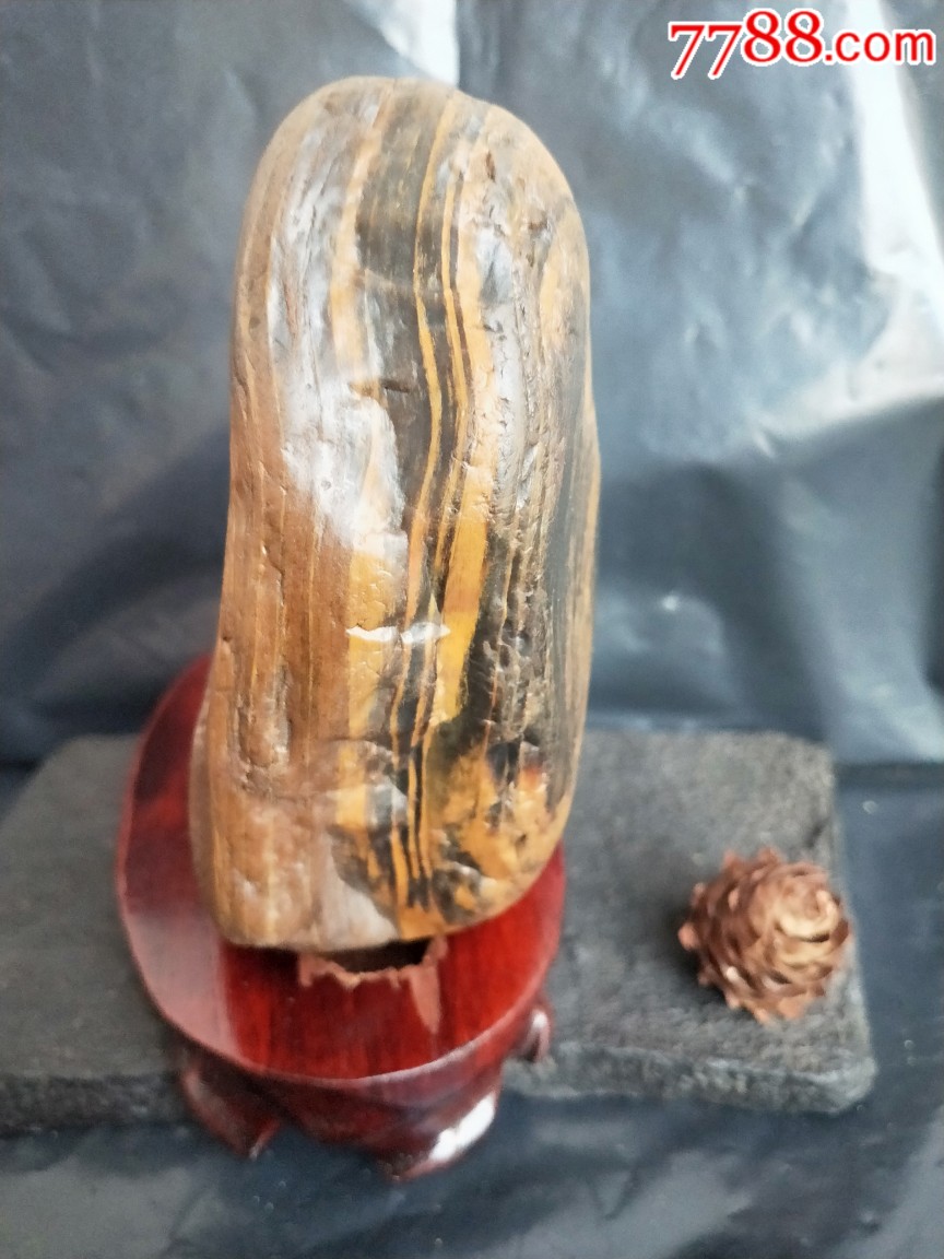 天然水冲原石奇石观赏石茶宠文房案头小摆《硅化木,木