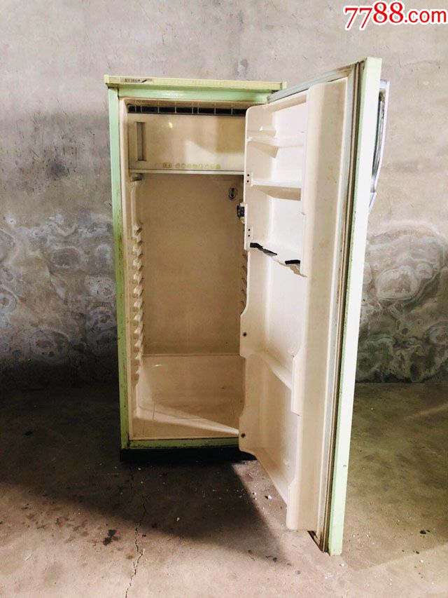 老物件老冰箱电冰箱怀旧冰箱雪花牌冰箱老货