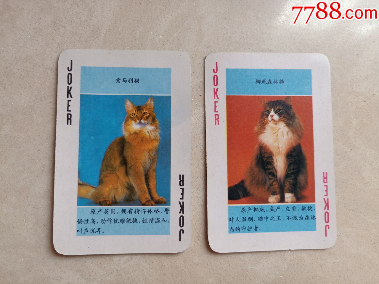 世界名猫扑克(扑克牌)_价格5.