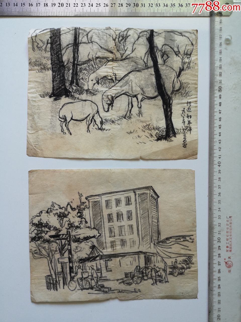 包老包真80年代初速写画稿原稿《河边的羊群》等2张