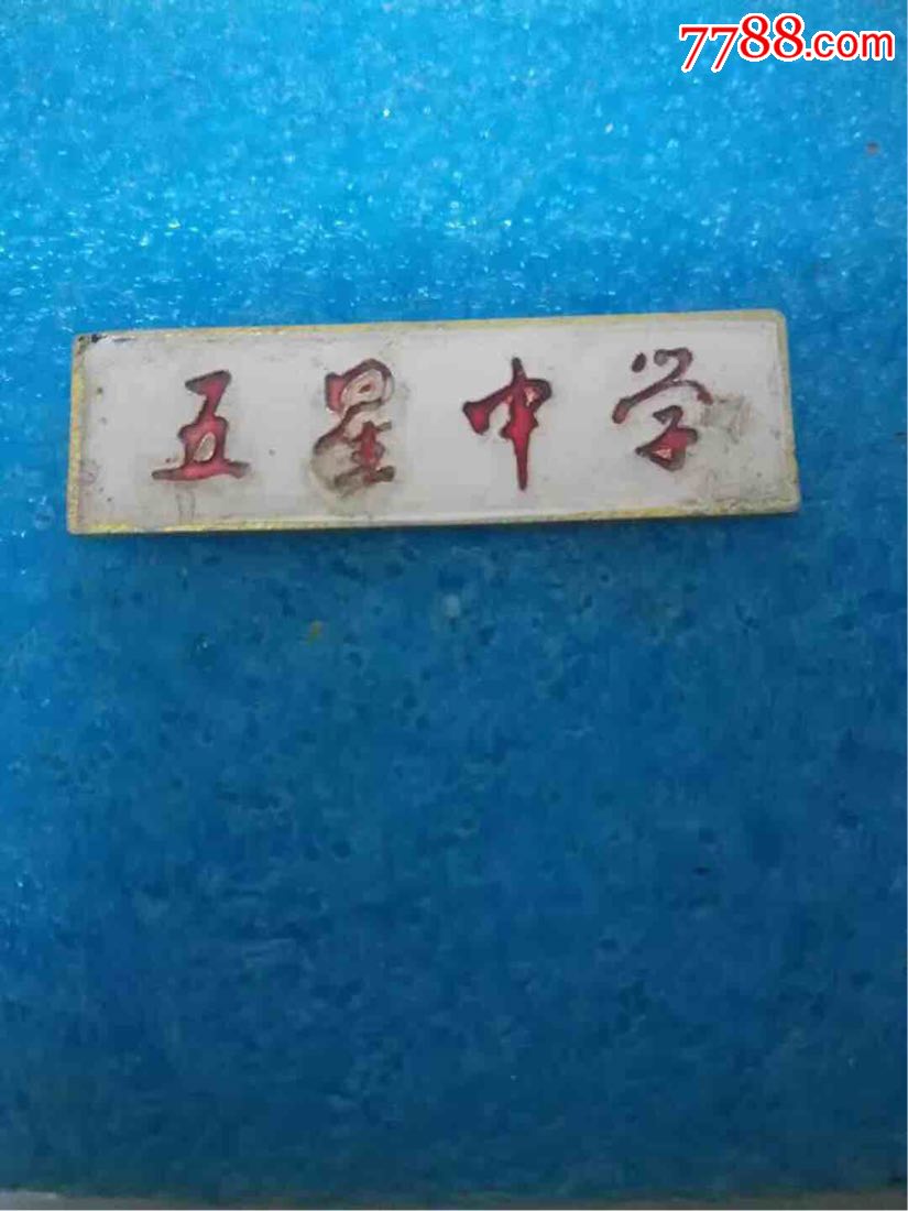 南安五星中学校徽