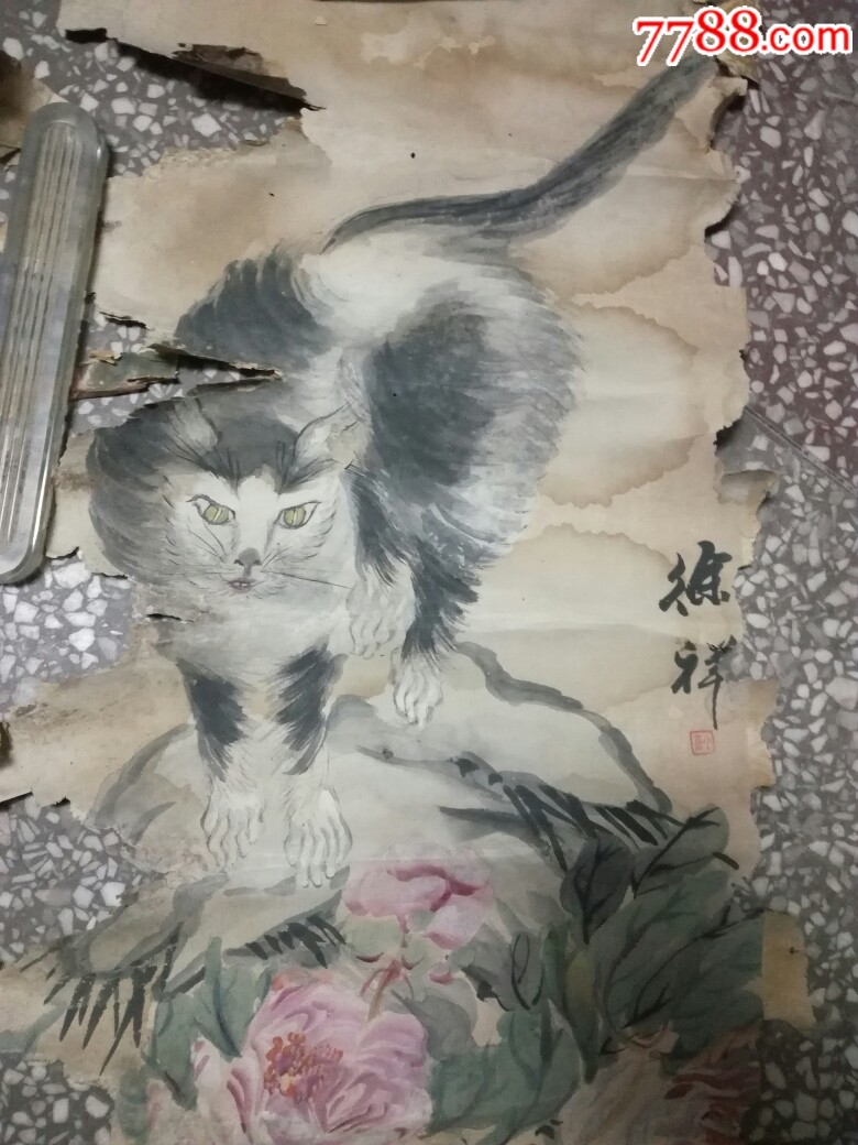 徐祥小仓山石牡丹猫