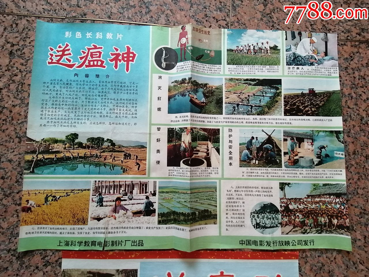 56十年代老纪录片送瘟神横竖一对中央新闻上海科学教育电影制片厂中