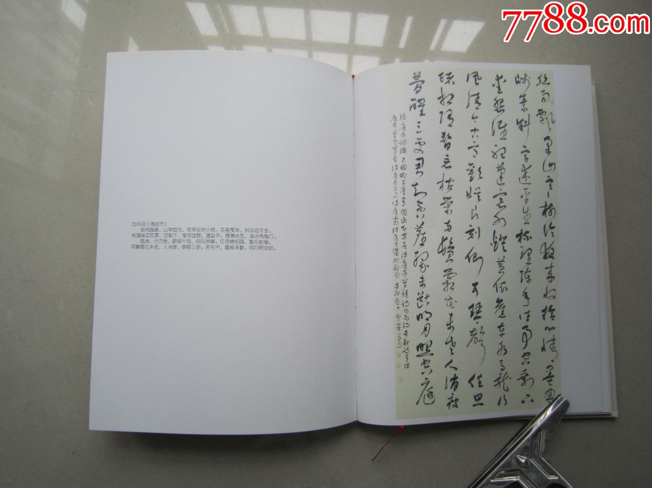 《郑云荣书法作品集》16开精装