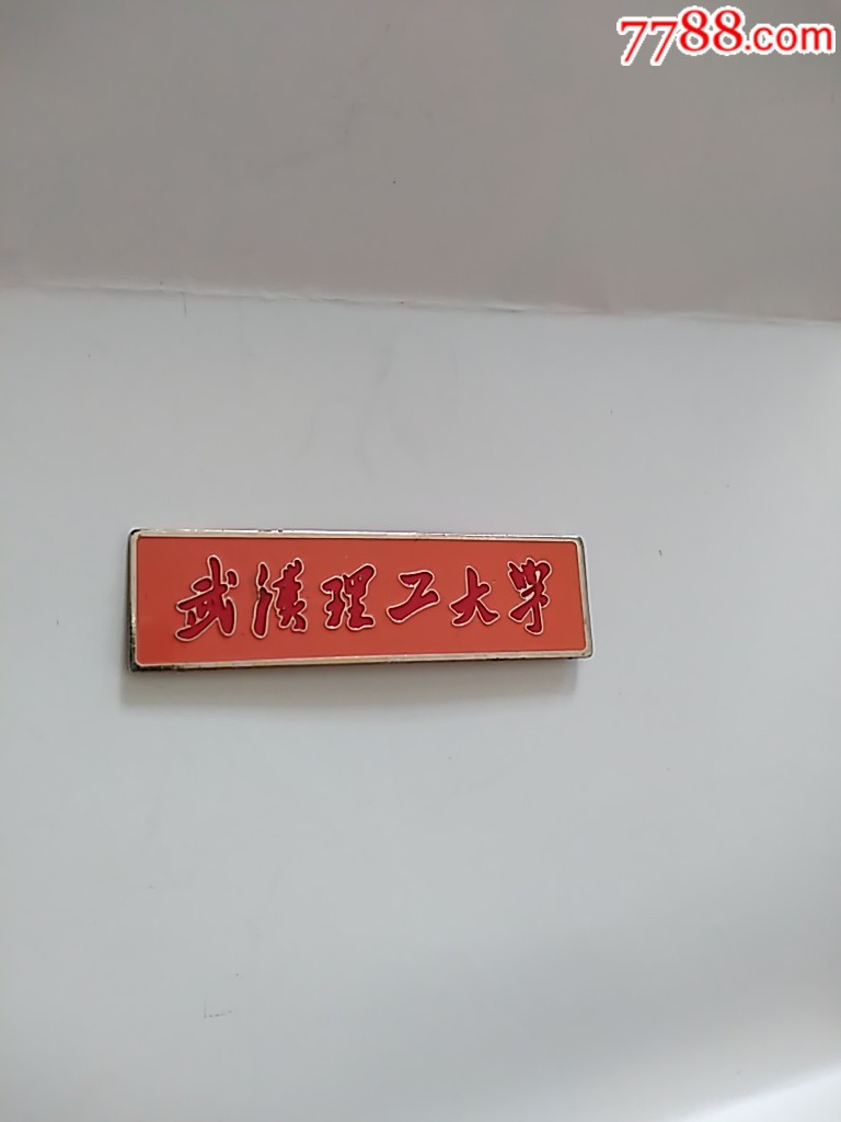 武汉理工大学