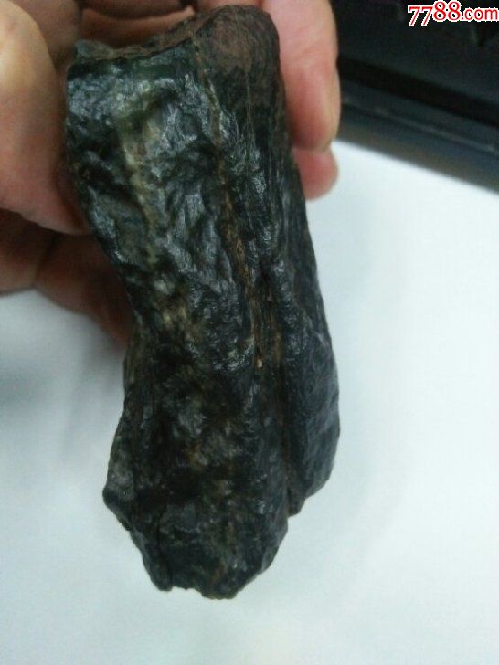 3523和田玉聚墨青花墨玉戈壁料原石355.8克