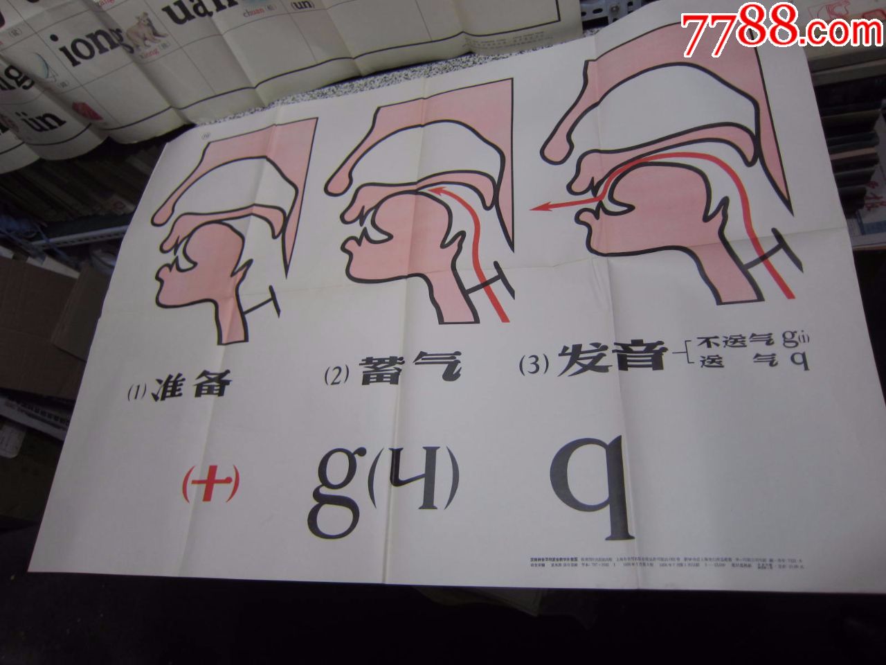 汉语拼音字母发音教学示意图1956年1印全开挂图20张全套