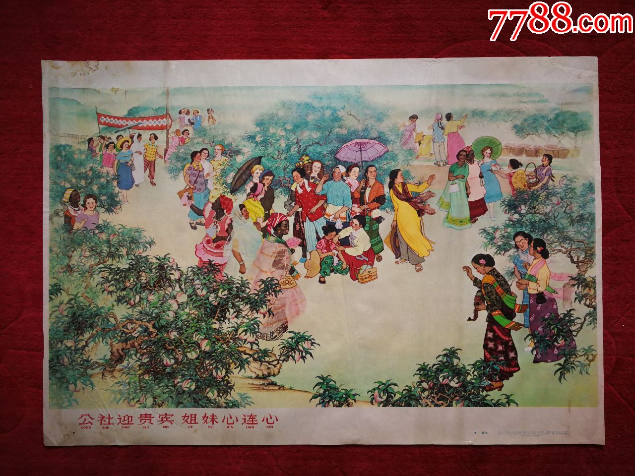 公社迎贵宾姐妹心连心