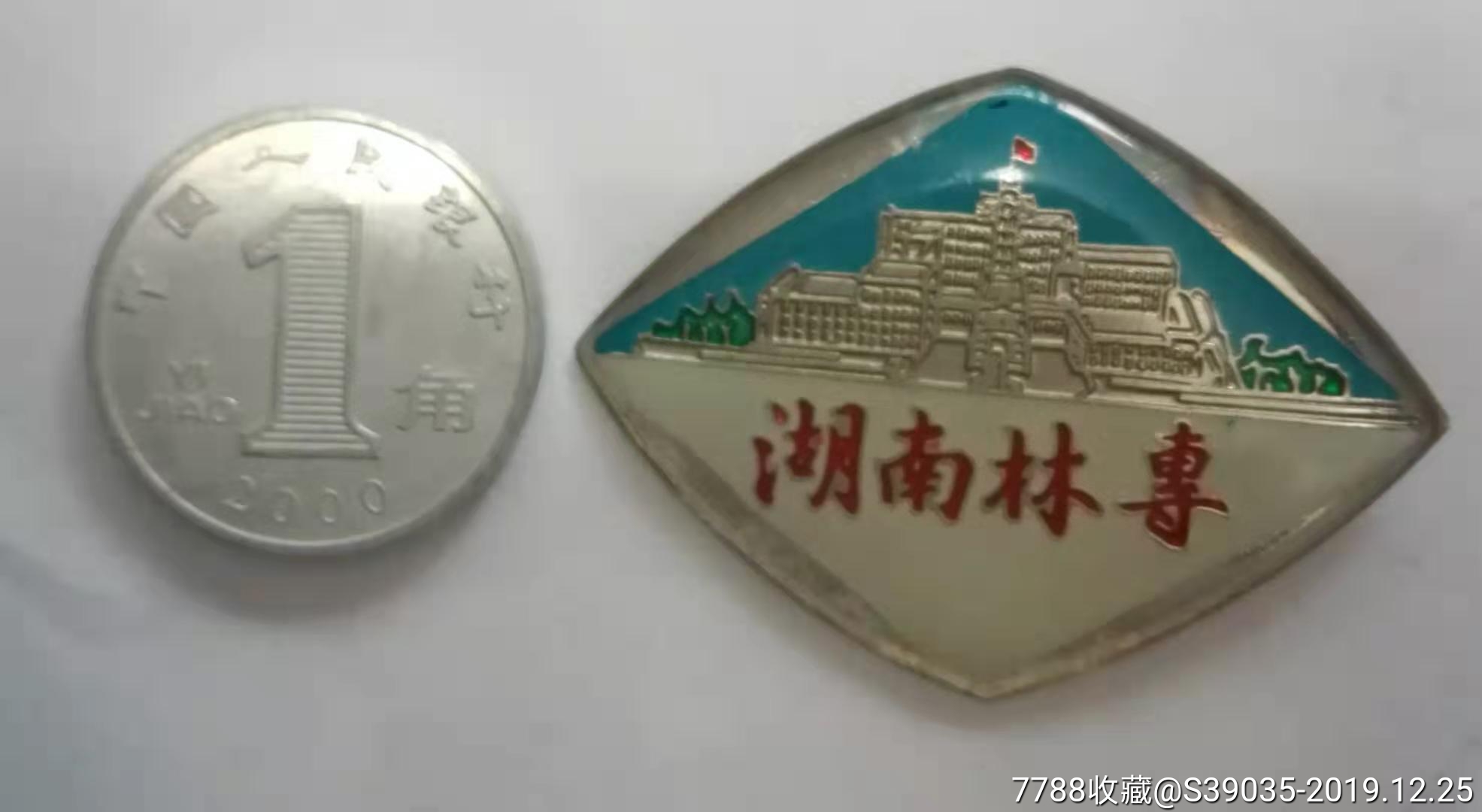 湖南林专