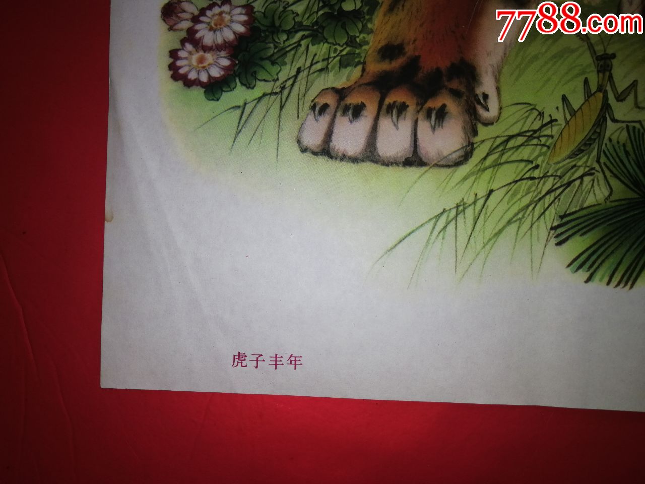 虎子丰年