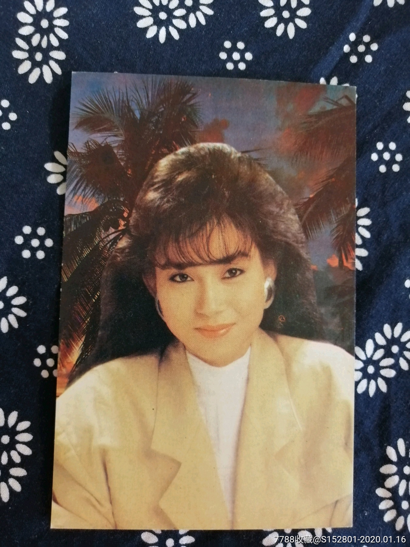 港台明星邝美云