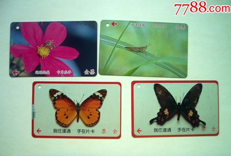 卡片在手通达任我4枚-台湾昆虫与蝴蝶