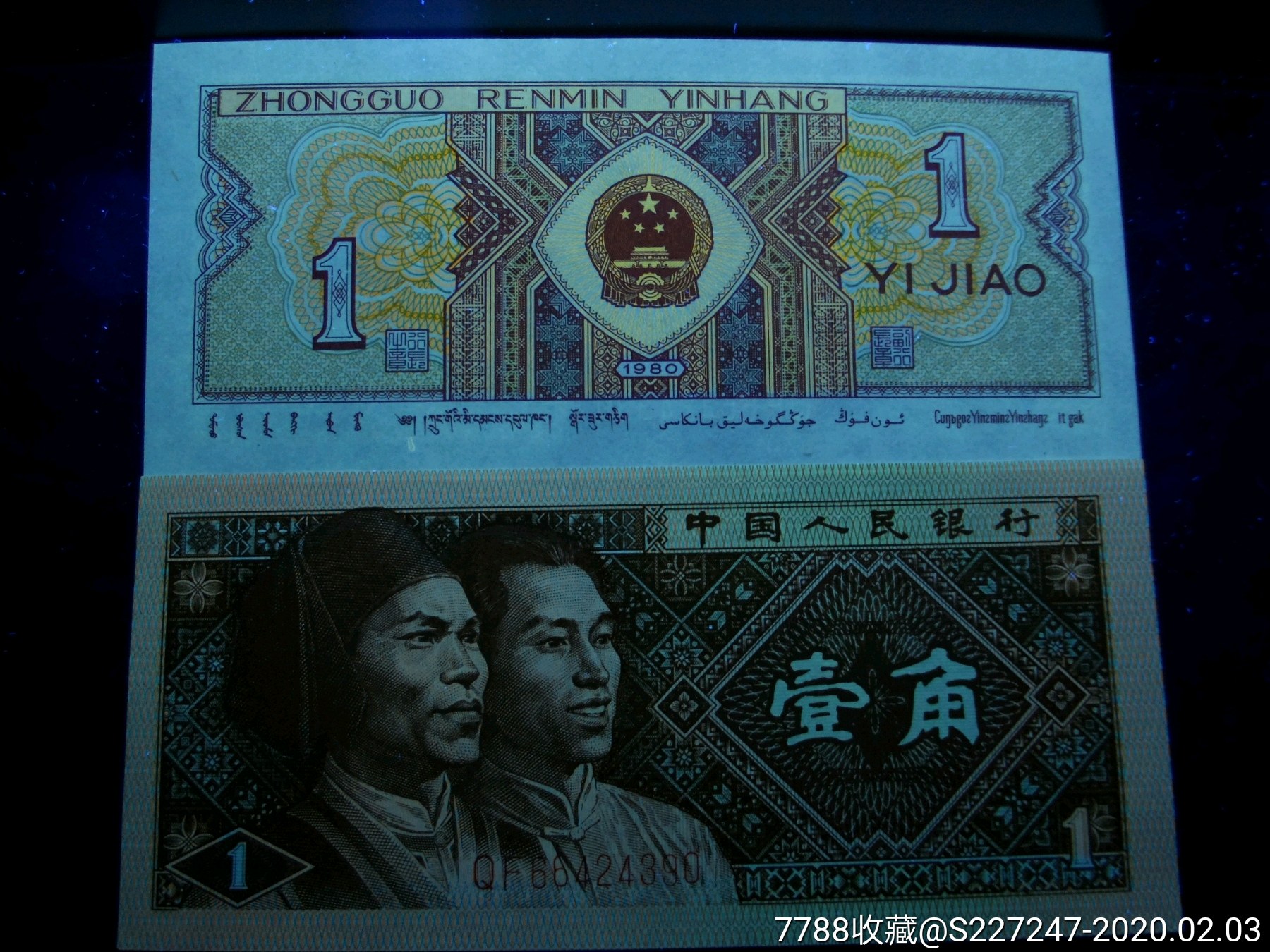 8001qf小金牡丹黄金甲_价格60.