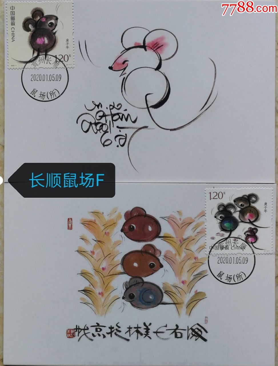 20201庚子鼠贵州长顺鼠场极限片f