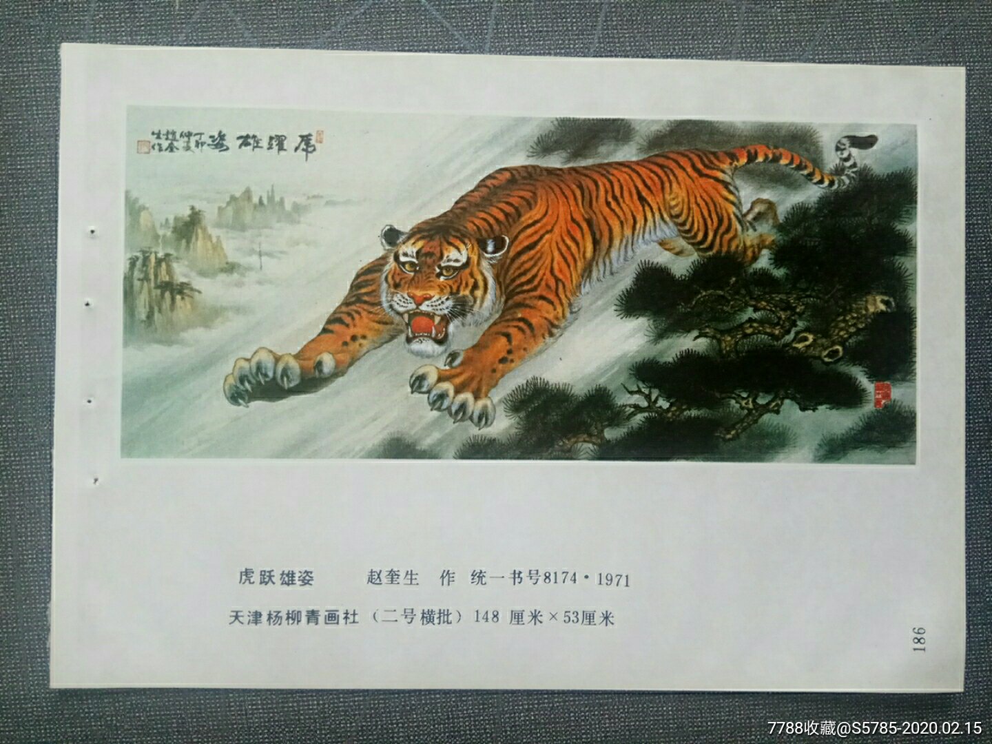 虎跃雄姿赵奎生作