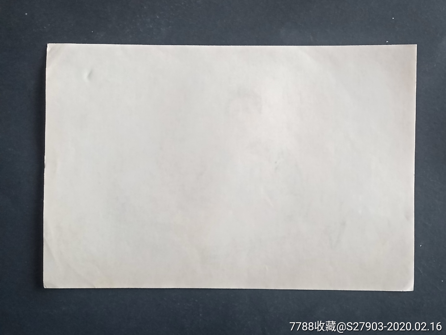 激扬文字杨之光作