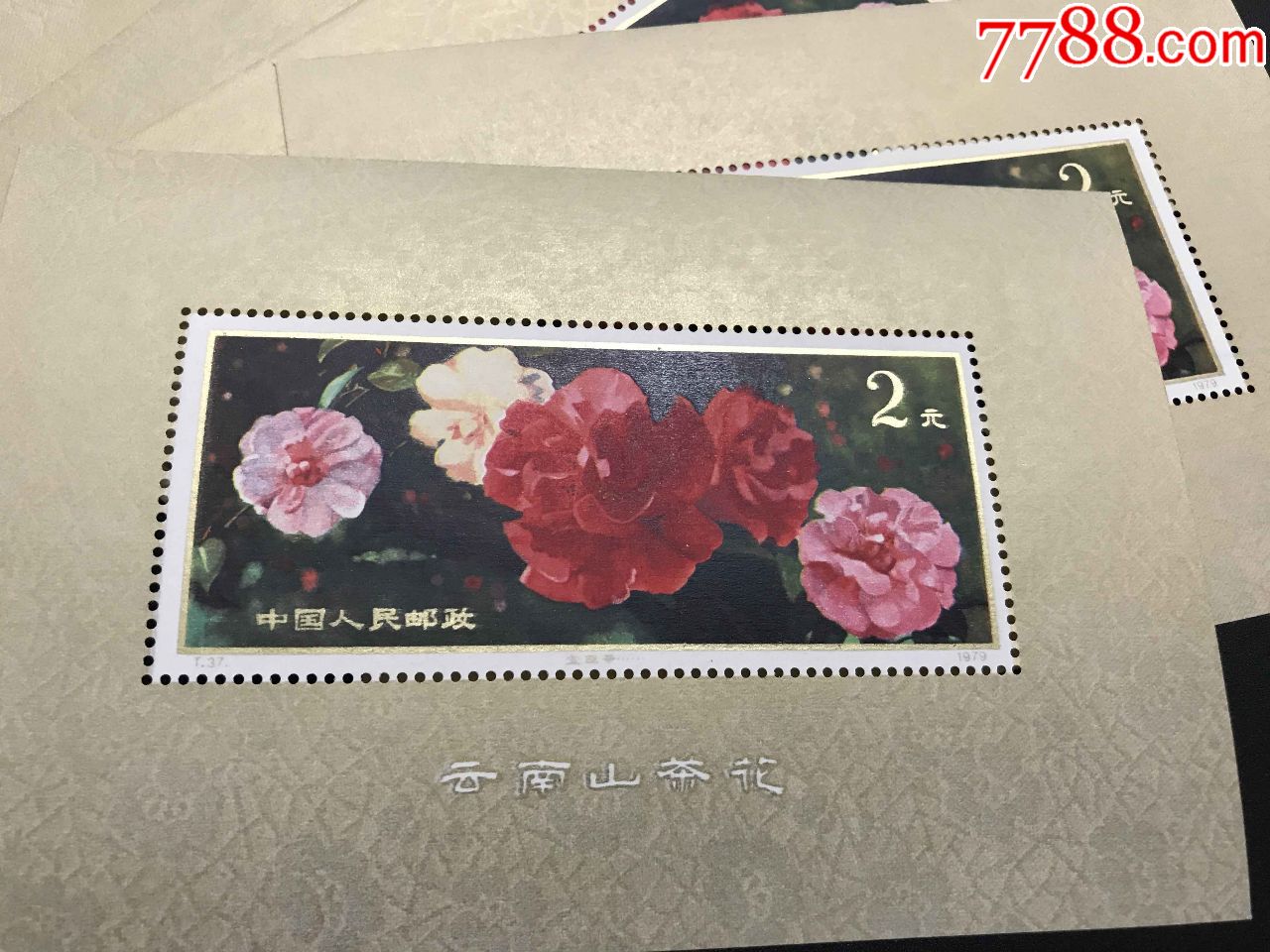 t37m山茶花小型张,金粉亮,原胶全品.每枚1128元,可供多枚.