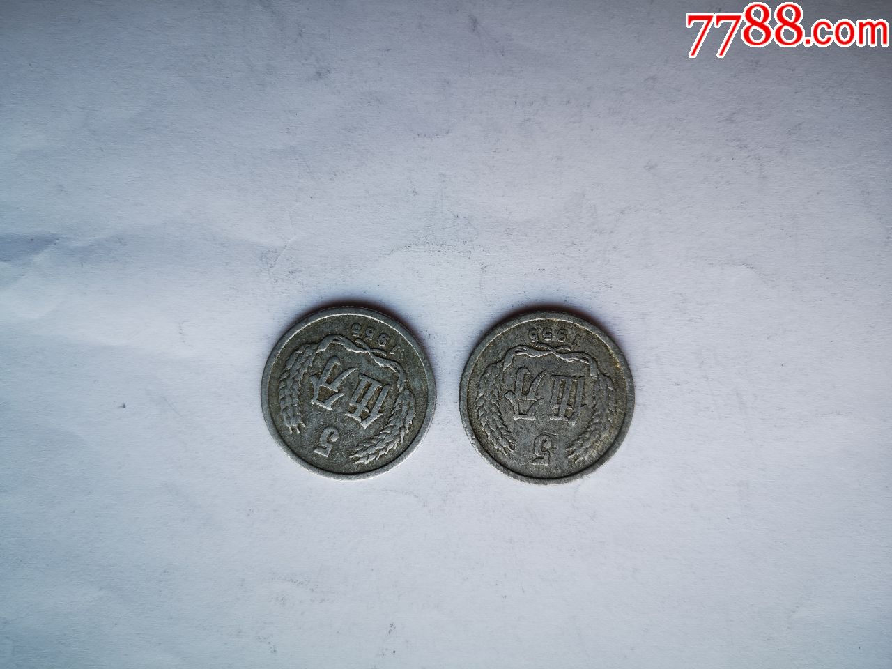 1955年五分