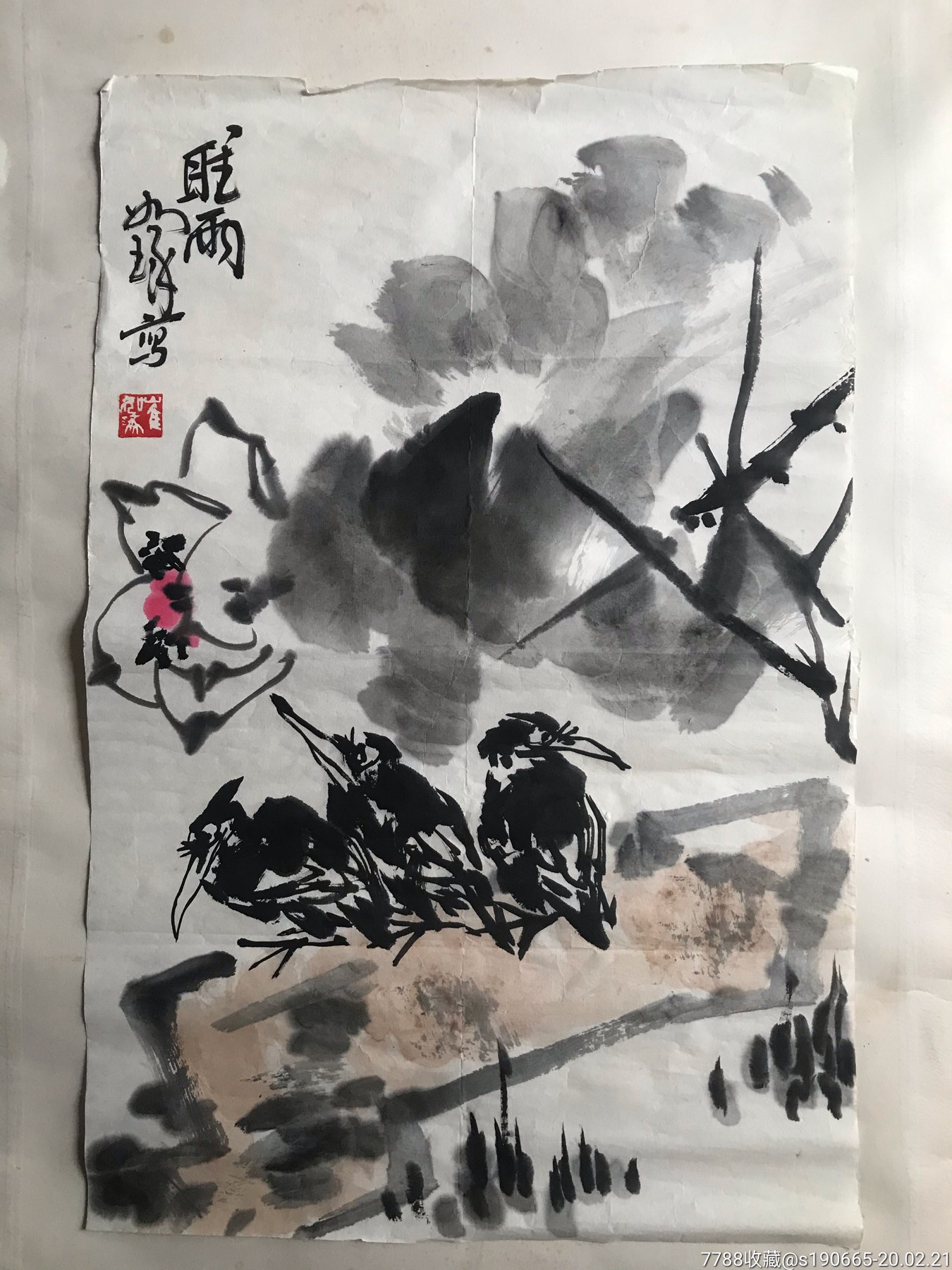 老花鸟画
