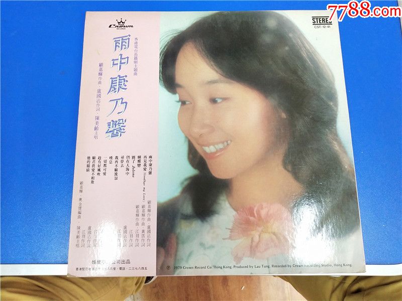 陈美玲-雨中康乃馨