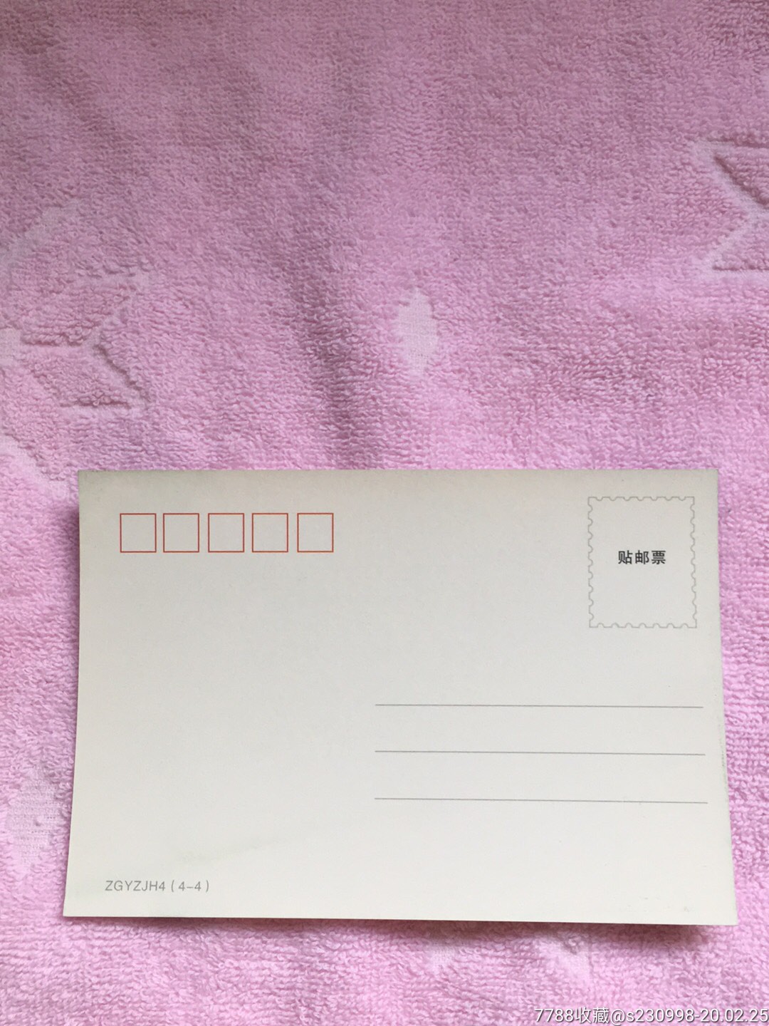图画明信片梅花