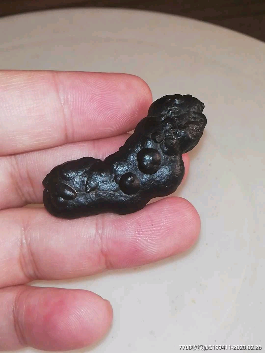 火山岩黑金刚毛毛虫象形毛毛虫石戈壁奇石