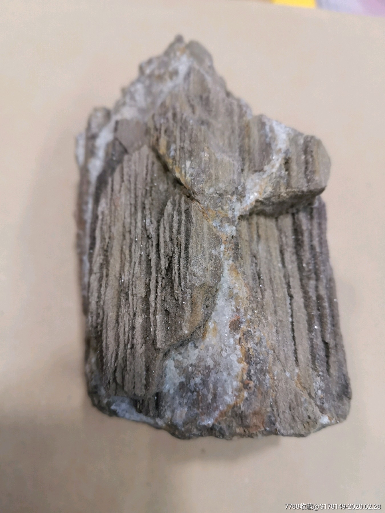 化石树化玉石炭纪树化玉产地新疆,高150mm宽78mm