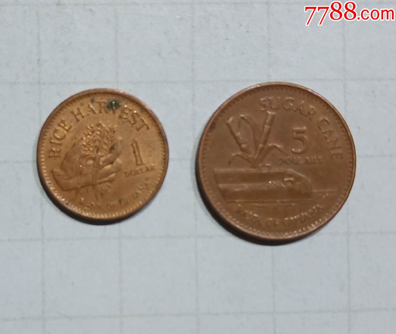圭亚那硬币2枚旧品外国钱币